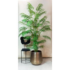 Art plant - Chamaedorea Elegans - Bergpalm - 180 cm by Green boutiQ