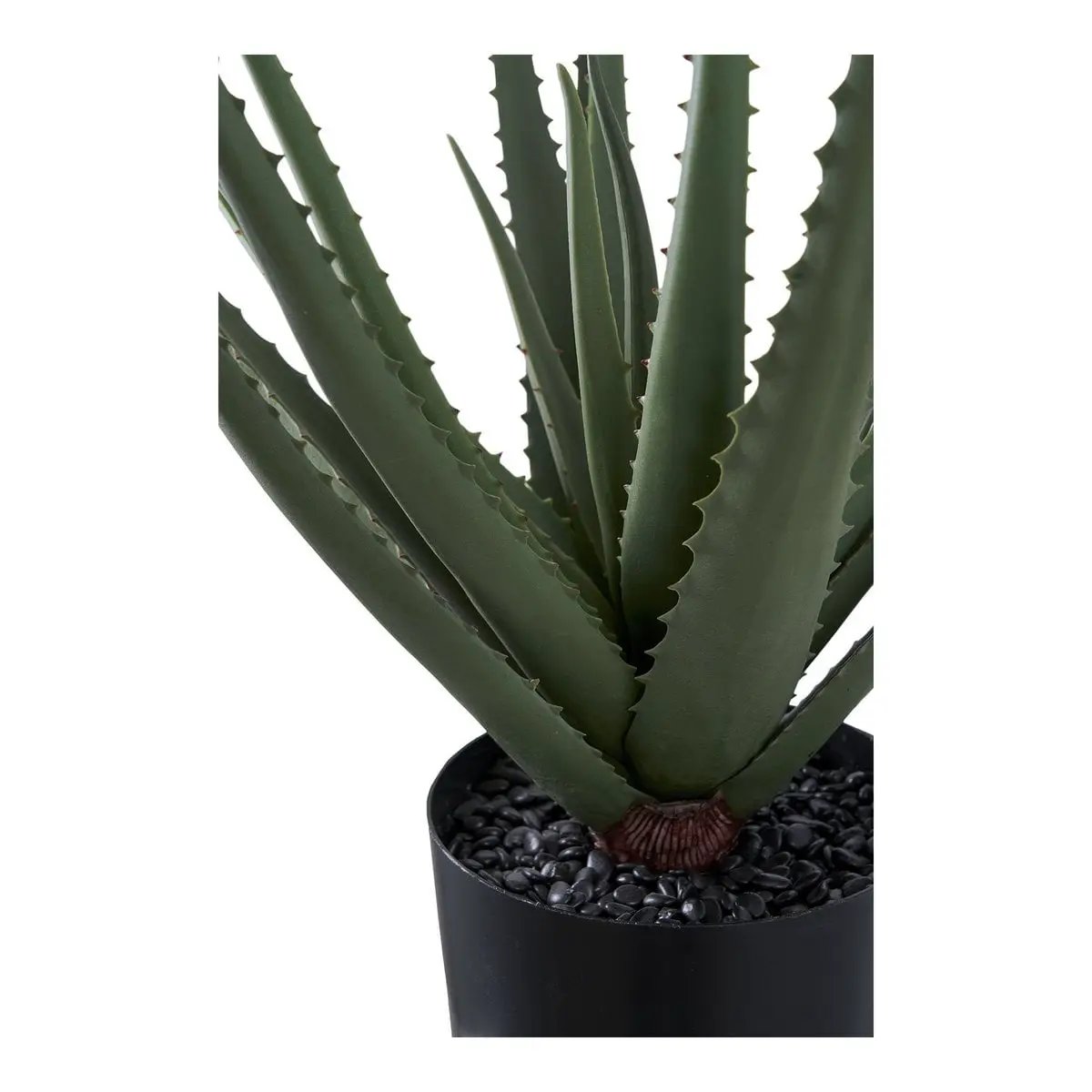 Aloe Vera by EMIRELLE
