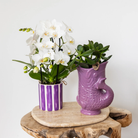 Hummingbird Home | Fish - Lilac - Ø9cm by Kolibri Company