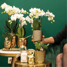 Hummingbird Home | Metallic diamond flower pot - Golden ceramic decorative pot Ø9cm by Kolibri Company