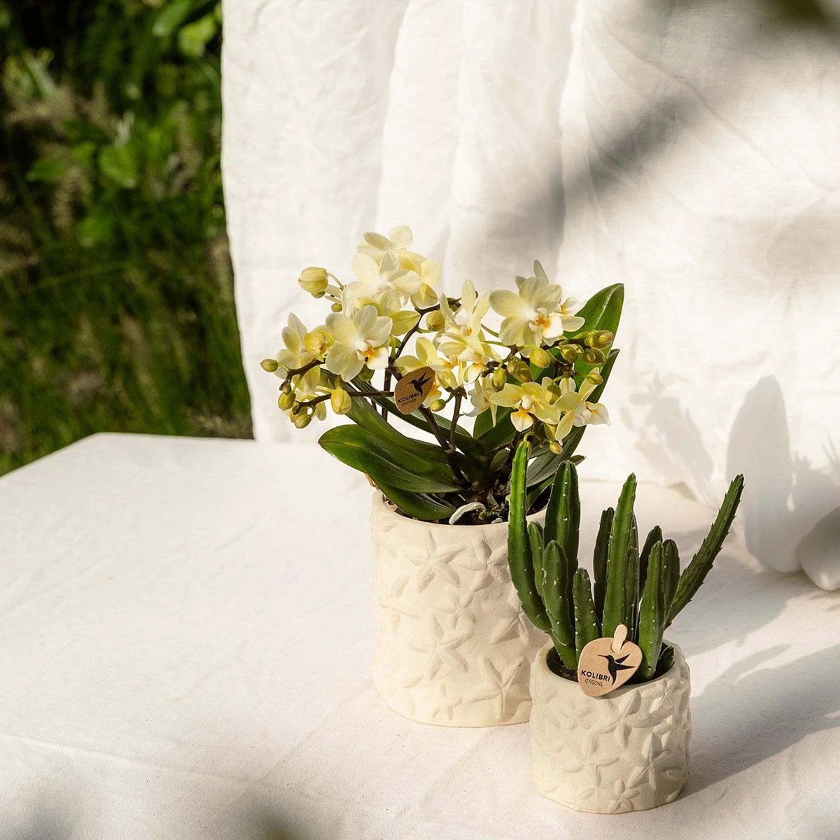 Kolibri Home | Star Fish sierpot - Off White - Ø9cm by Kolibri Company