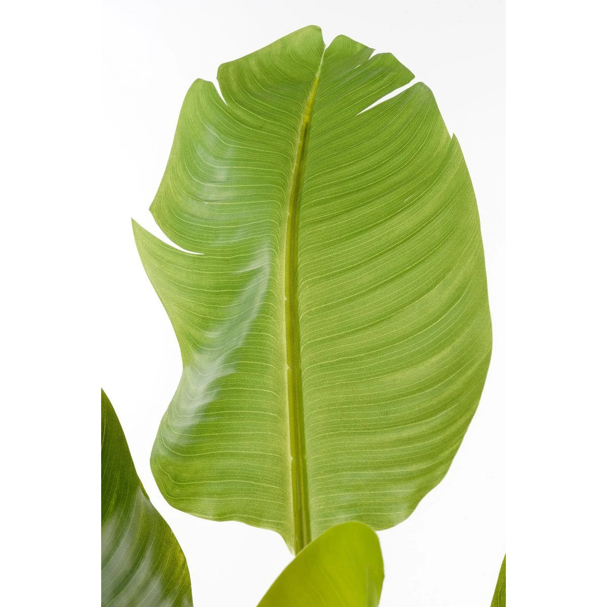 Artificial plant Green by Mica Decorations