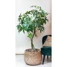 Artificial plant - Pachira Aquatica - Money tree - 150 cm by Green boutiQ