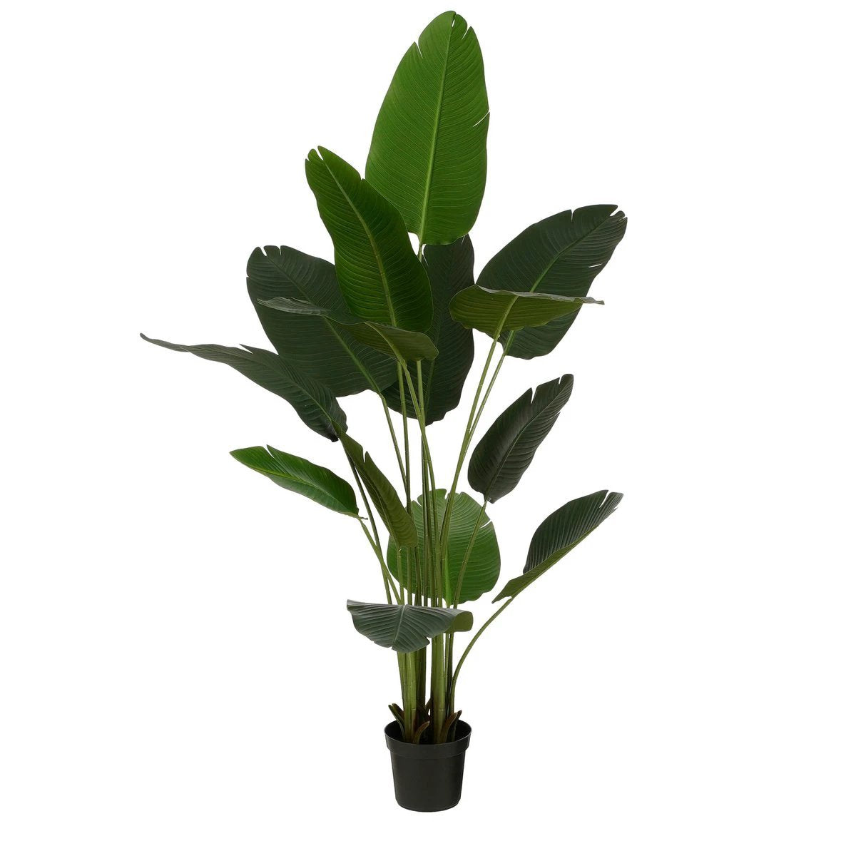 Artificial plant Green by Mica Decorations