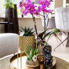 Hummingbird Home | Plant stand - Gold metal plant stand Ø12cm by Kolibri Company