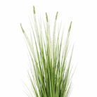 Artificial Plant Ornamental Grass White by Mica Decorations