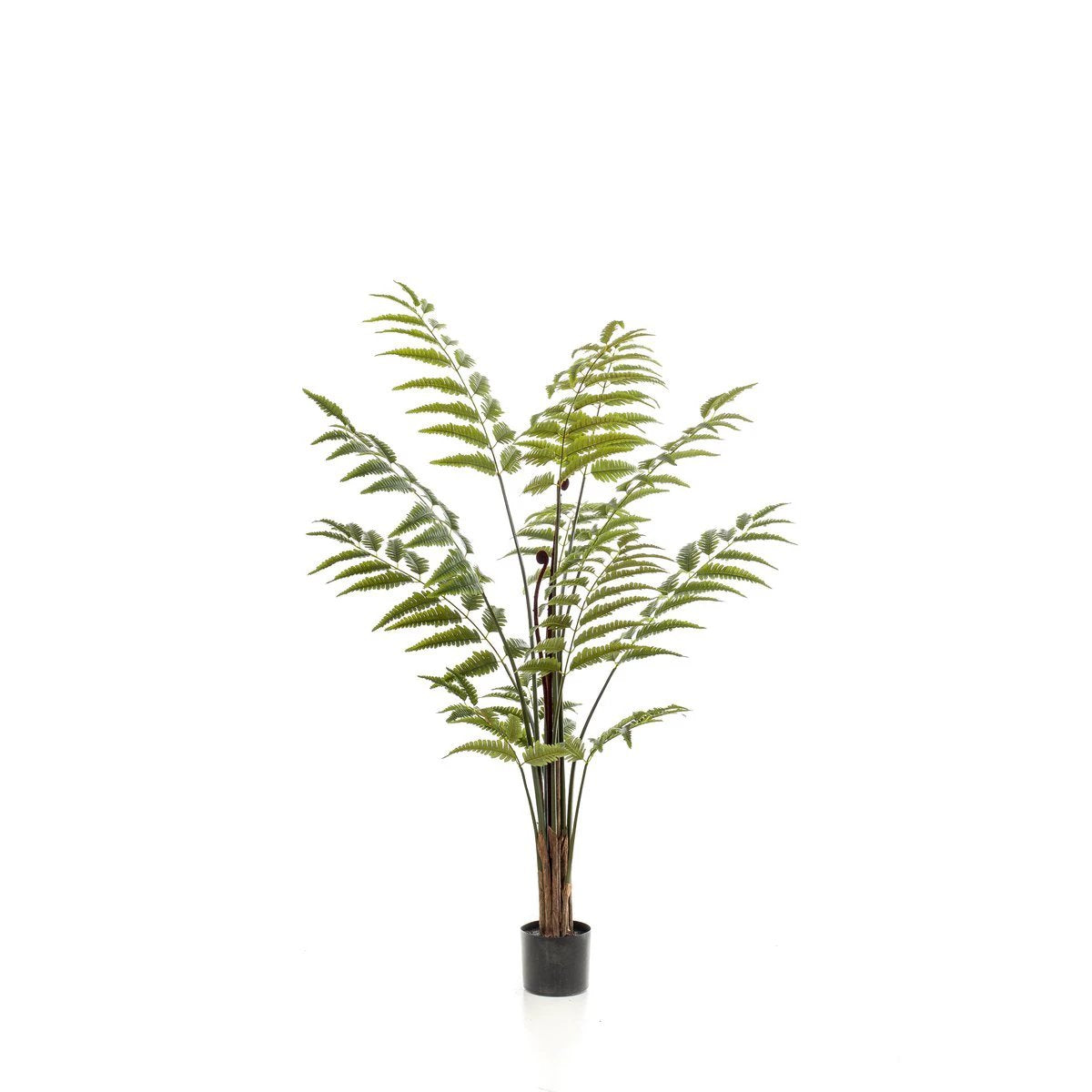 Kunstpflanze – Rumohra adiantiformis – The Leader Varise – 150 cm von Green boutiQ