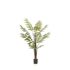 Art Plant - Rumohra Adiantiformis - The Leader Varise - 150 cm by Green boutiQ