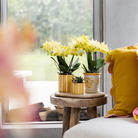 Kolibri Home | Painted stripe - Yellow - Ø9cm by Kolibri Company