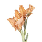 Artificial flower 85 cm Brown Plastic by Clayre & Eef.