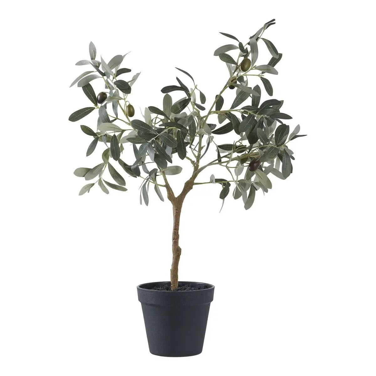 Olive Tree by EMIRELLE