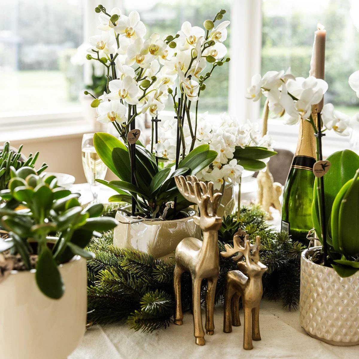 Kolibri Home | Diamond pearl sierpot - Travertine - Ø9cm by Kolibri Company