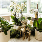 Kolibri Home | Diamond pearl sierpot - Travertine - Ø9cm by Kolibri Company