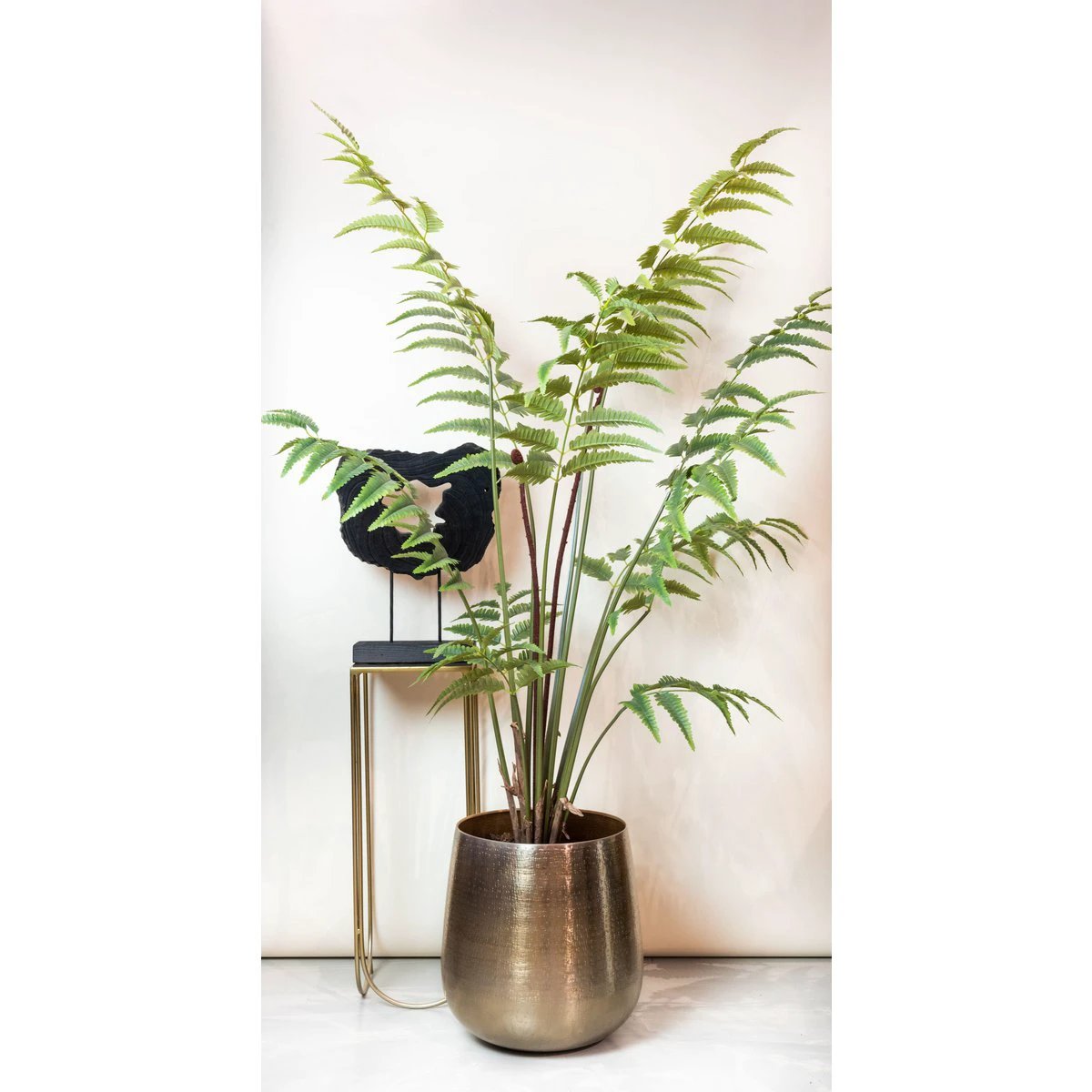 Art Plant - Rumohra Adiantiformis - The Leader Varise - 150 cm by Green boutiQ