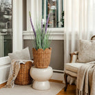 Artificial Plant Ornamental Grass Purple by Mica Decorations