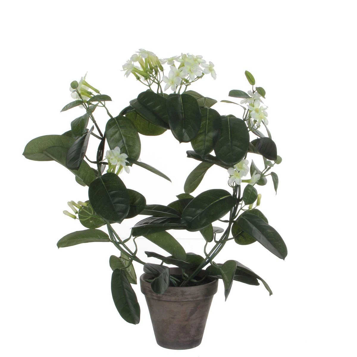 Kunstplant Stephanotis Wit by Mica Decorations