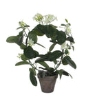 Kunstplant Stephanotis Wit by Mica Decorations