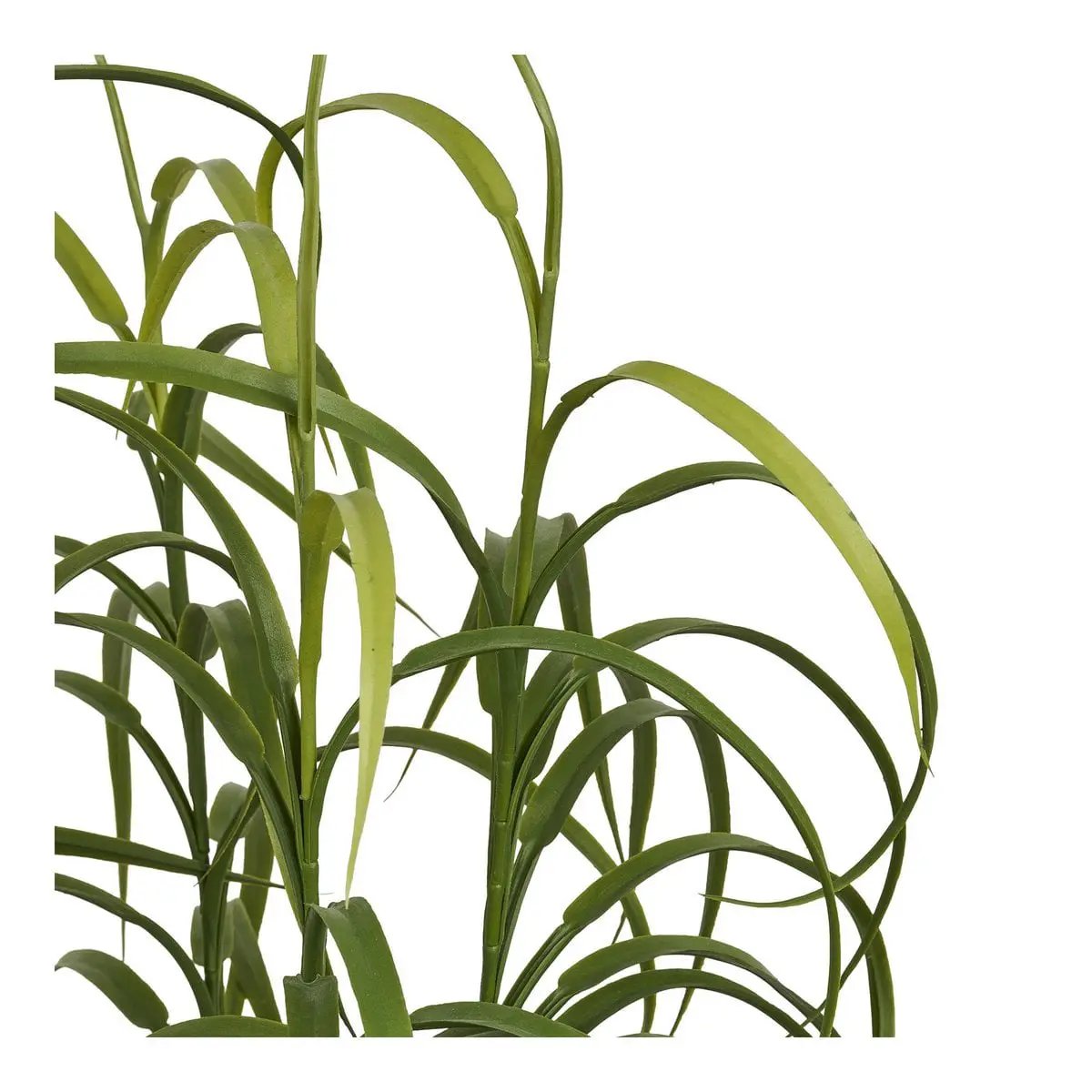 Grass Plant, green, H:68 cm by EMIRELLE
