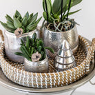 Hummingbird Home | Elite silver pot - Ø9cm by Kolibri Company