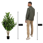 Artificial plant Eucalyptus tree Green by Mica Decorations