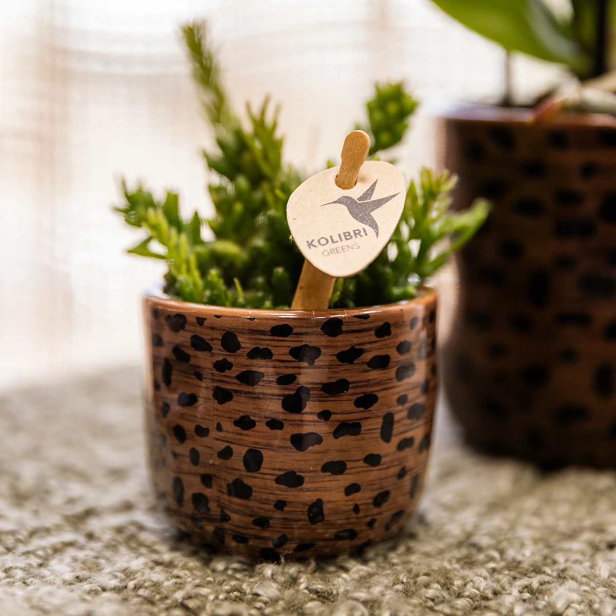 Kolibri Home | Leopard Sierpot - Ø6cm by Kolibri Company