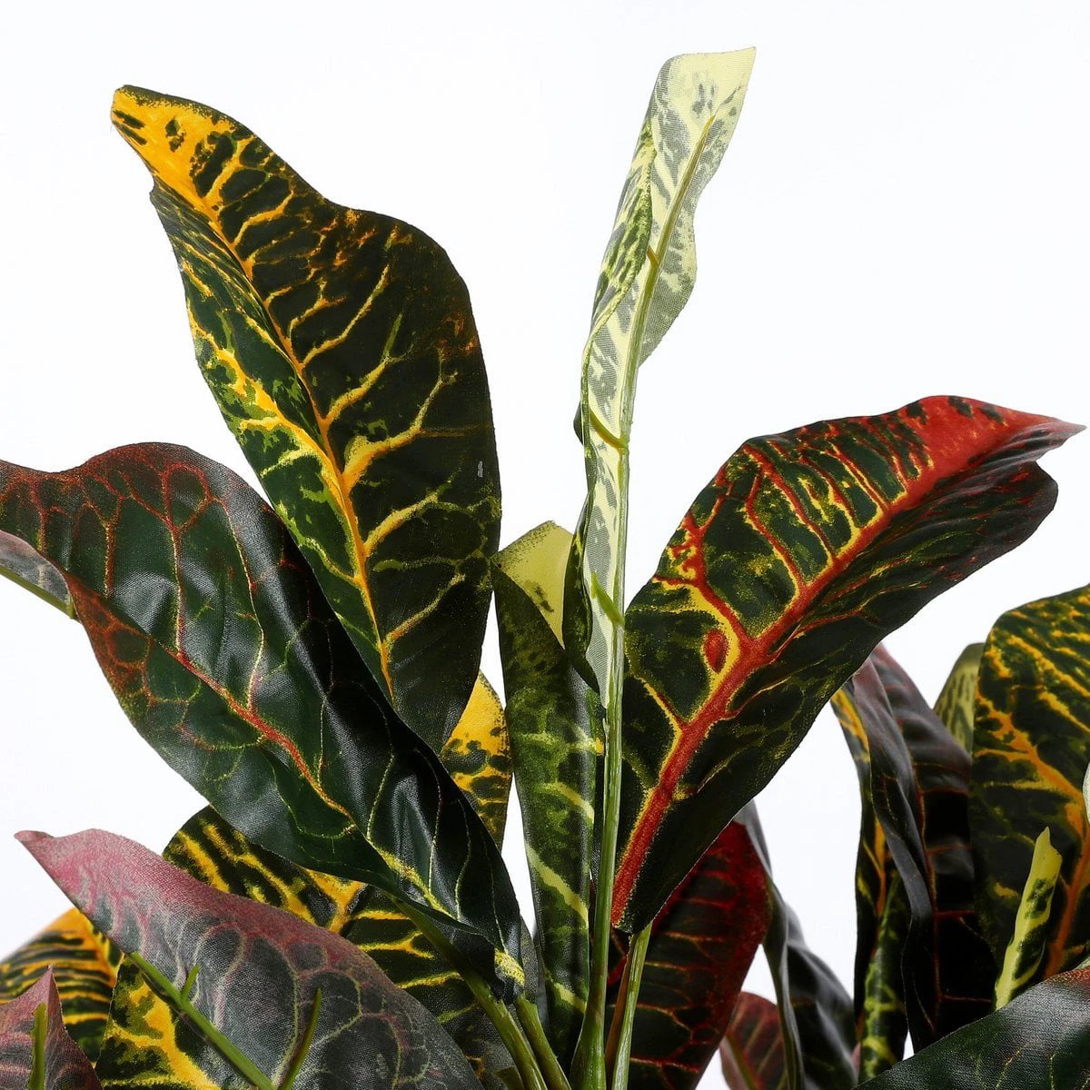 Artificial plant Croton Green by Mica Decorations