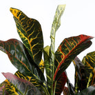 Artificial plant Croton Green by Mica Decorations