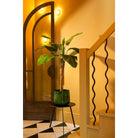 Flowerpot inside Benson Dark brown by Mica Decorations