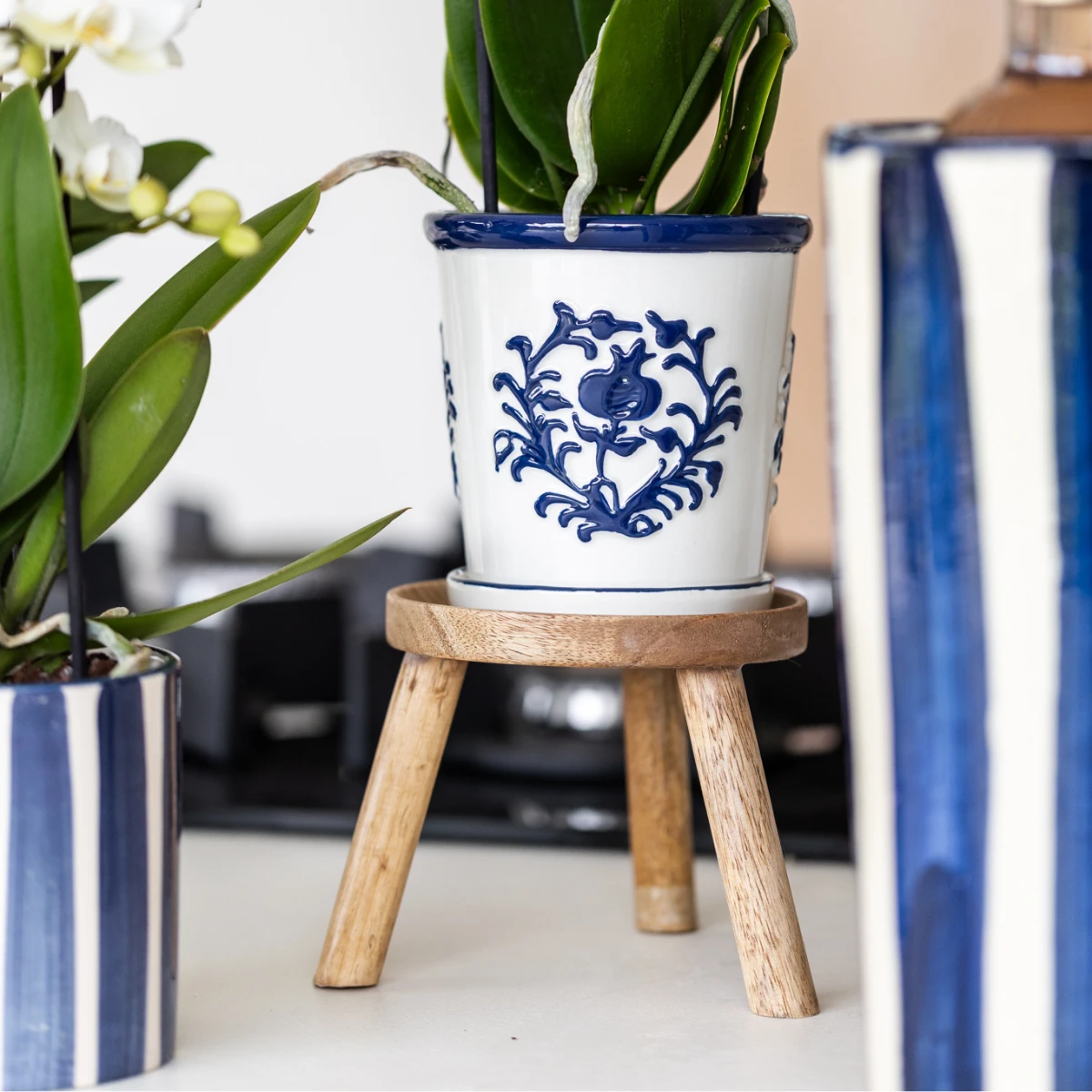 Kolibri Orchids | witte orchidee Amabilis + Malaga sierpot blauw - potmaat Ø9cm | bloeiende kamerplant - vers van de kweker by Kolibri Company