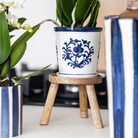 Kolibri Orchids | witte orchidee Amabilis + Malaga sierpot blauw - potmaat Ø9cm | bloeiende kamerplant - vers van de kweker by Kolibri Company