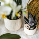Kolibri Home | Floral bloempot - Light Blue - 9cm by Kolibri Company