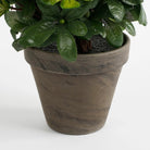Artificial plant Azalea Pink by Mica Decorations
