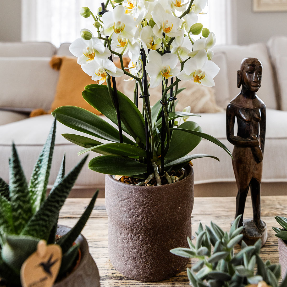 Kolibri Home | Rustic sierpot - Brown - Ø12cm by Kolibri Company