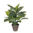 Artificial plant Evergreen Green by Mica Decorations