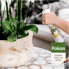 Pokon Powerspray orchidee 300 ml by Kolibri Company