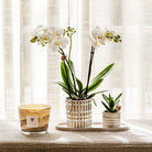 Kolibri Home | Mozaïek sierpot - Ø6cm by Kolibri Company