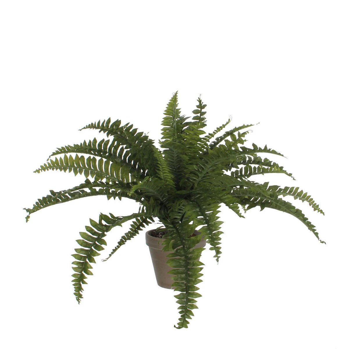 Artificial plant Fern Green by Mica Decorations
