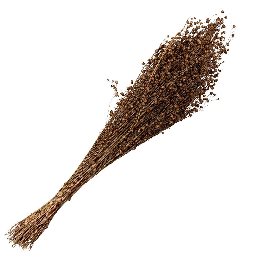 Trockenblumen 60 cm (100 g) von Clayre & Eef.