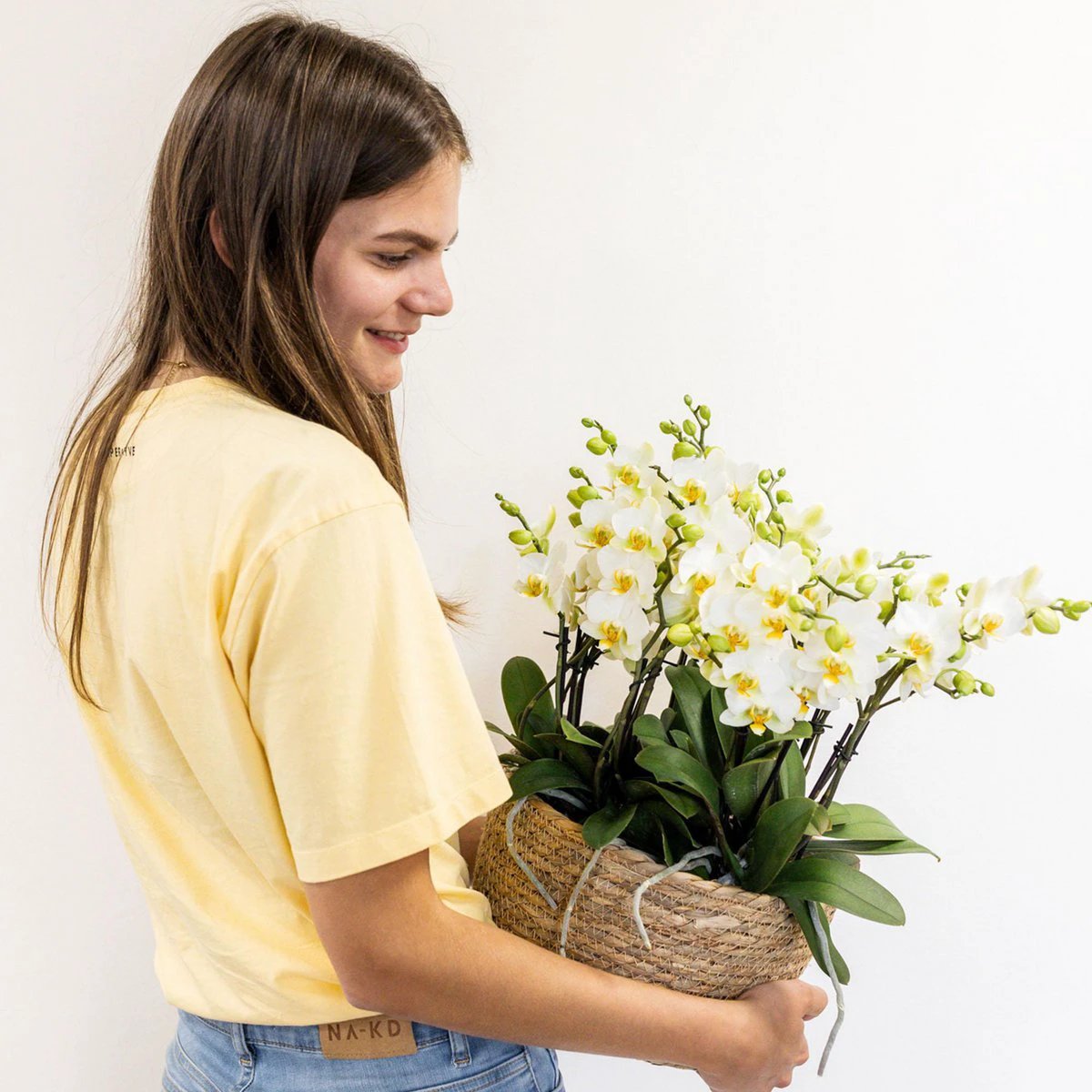 Kolibri Orchids | white plant set in Cotton basket incl. Water reservoir | Three white orchids Lausanne 9cm and three green plants | Jungle Bouquet White with self -sufficient water reservoir by Kolibri Company