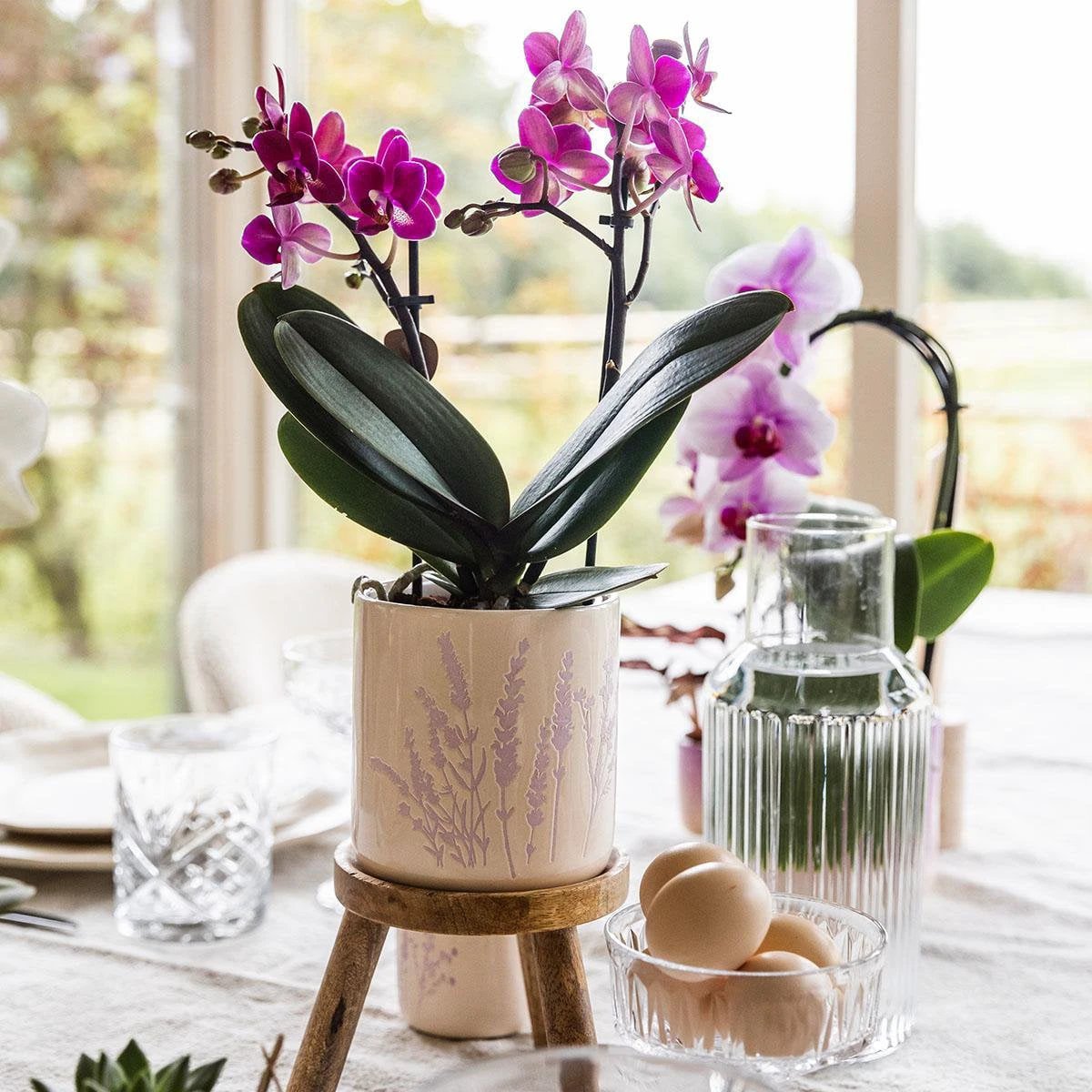 Kolibri Home | Floral flowerpot - Lavender - 9cm by Kolibri Company