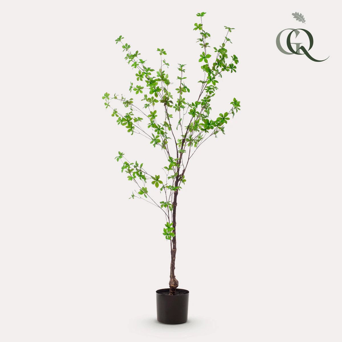 Kunstplant - Tropseolum attractive - Oost Indistent - 150 cm by Green boutiQ