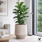 Plantenpot - Krabi matte sand by Vase The World