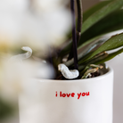 Kolibri Home | I love you sierpot - Ø9cm by Kolibri Company