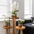 Hummingbird Home | Combi deal - Safari pots by Kolibri Company