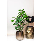 Kunstplant - Polyscias - Aralia - 105 cm by Green boutiQ