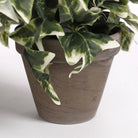 Artificial hanging plant Ivy Green by Mica Decorations