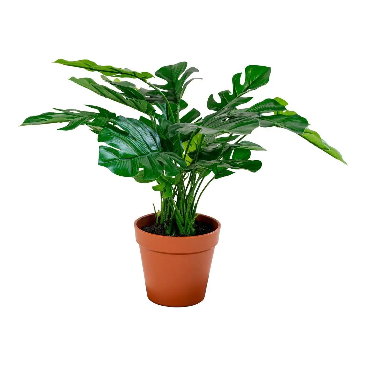 Monstera - Green, PE Plastic/Polyester/Wire/Cement, 40x40x45 cm by EMIRELLE