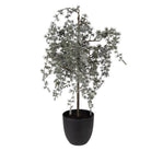 Artificial plant 30x30x60 cm Green Plastic by Clayre & Eef.