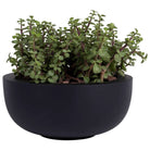 Plant pot - Ducos S Black (set of 2 pieces) by Vase The World