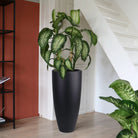 Plantenpot - Kentucky black by Vase The World